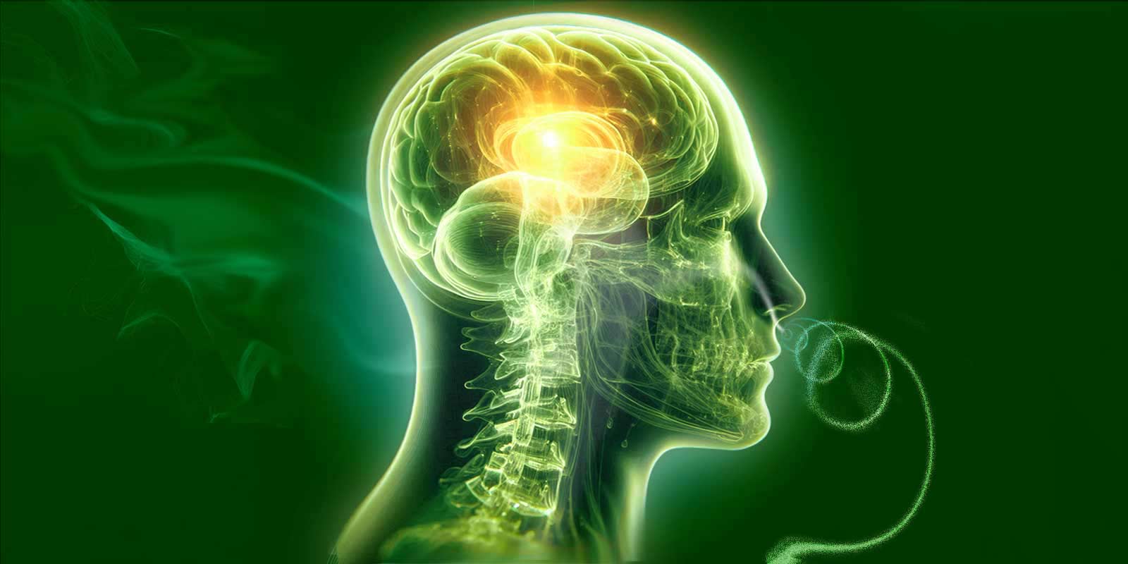 BRAIN FOG – A NON-MEDICAL CONDITION THAT REQUIRES AN OVERKILL, Selbstheilung, Regeneration, Atmen