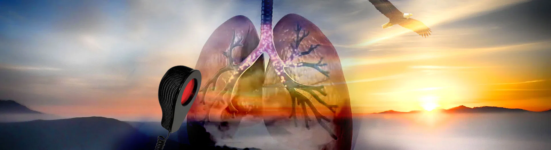 COPD: A DEBILITATING BREATHLESS STRUGGLE, kurieren, Biohacking, Airnergy, Longevity COPD: A DEBILITATING BREATHLESS STRUGGLE, Selbstheilung, Regeneration, Atmen