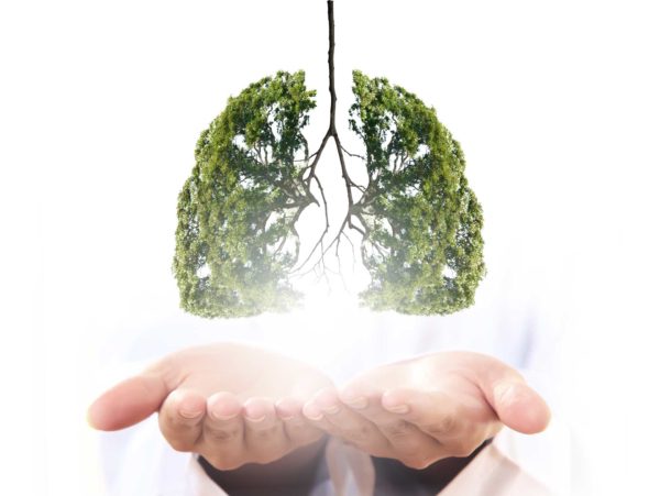 Dr. med. Martin Gschwender, Selbstheilung, Regeneration, Atmen