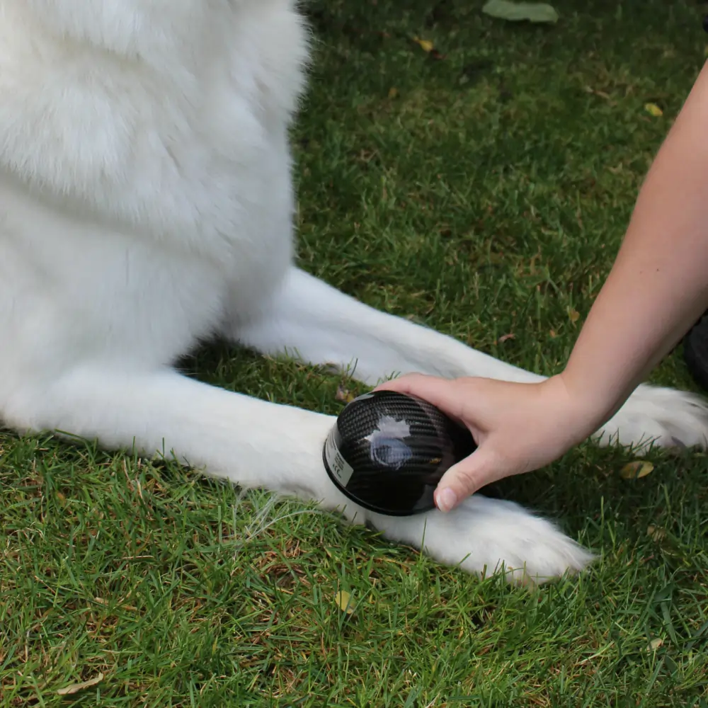 Vet-Stream, Natur pur Regulation beim Hund