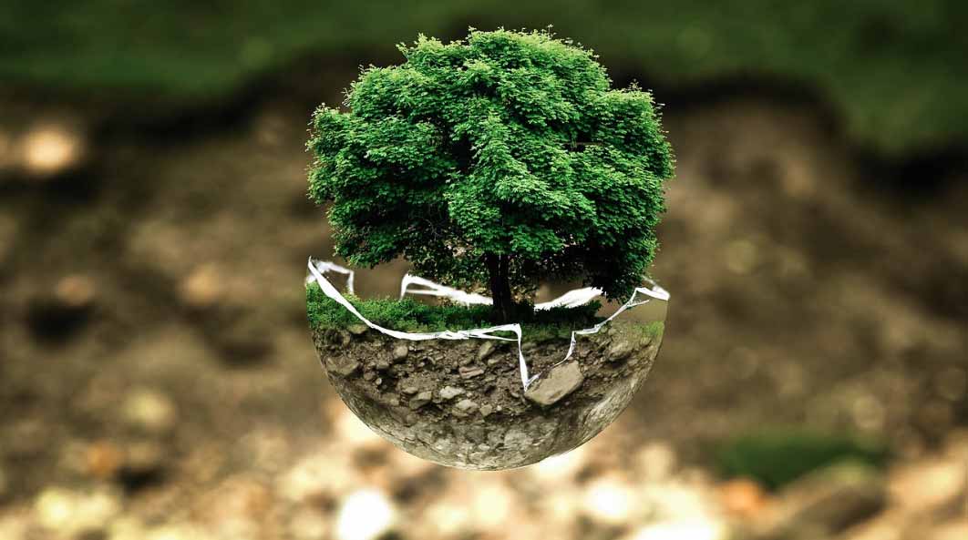 grüner Baum - Erde, atmen, Atmosphaere, praventiv, akut, kurativ, gesund mit Airnergy Foto: grüner Baum - Erde, atmen, praventiv, akut, kurativ, gesund mit Airnergy