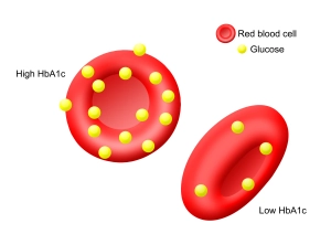 Anti-Aging - HbA1c glykiertes Hämoglobin- Airnergy